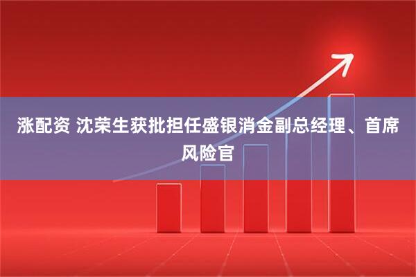 涨配资 沈荣生获批担任盛银消金副总经理、首席风险官